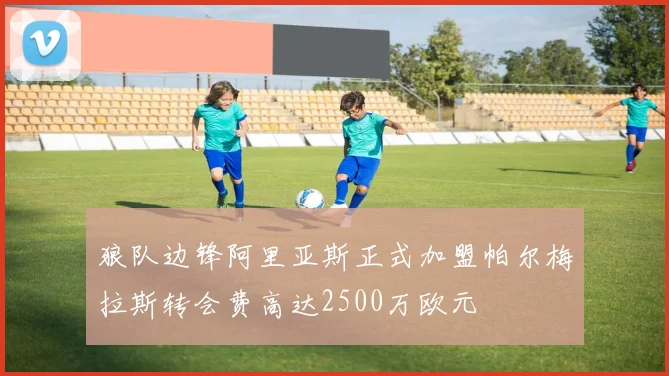 狼队边锋阿里亚斯正式加盟帕尔梅拉斯转会费高达2500万欧元