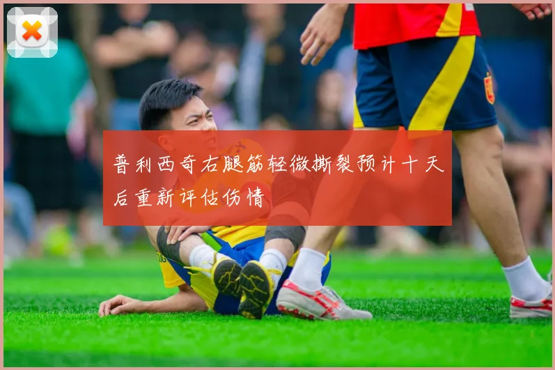 普利西奇右腿筋轻微撕裂预计十天后重新评估伤情